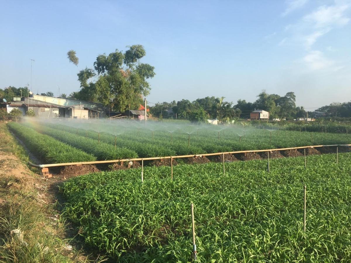 Chau Doc Homestay Eksteriør bilde